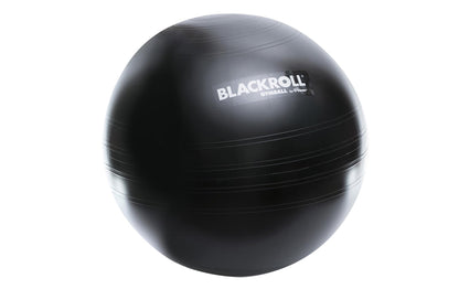 blackroll, gymball, gymnastic ball, office ball